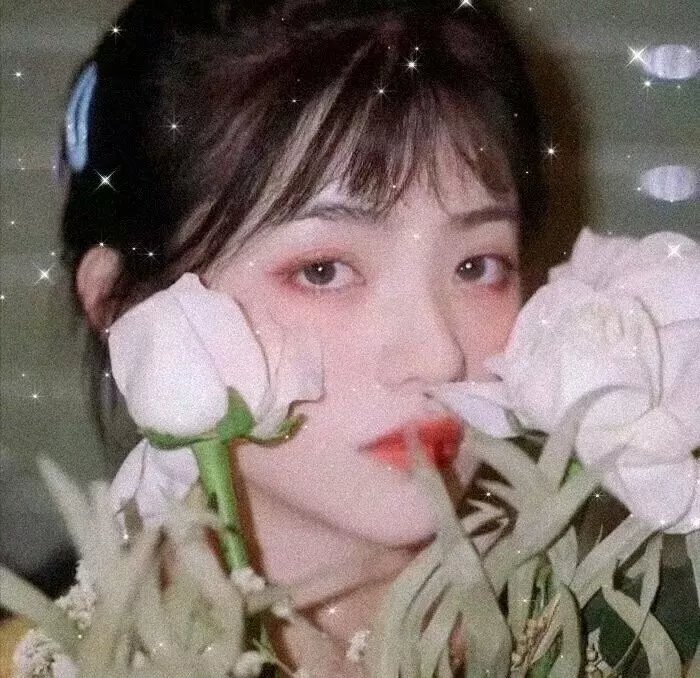 悍妻理论